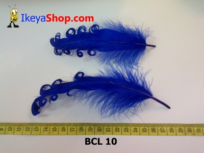 bulu curly BCL 10   feather  large2
